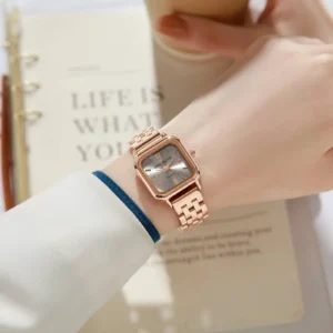 Daniel Hechter Paris Claire Collection Analog Quartz Watch for Women with Square Metal Case,Sunray Dial, Quartz Movement,Stainless Steel Strap and Water Resistant